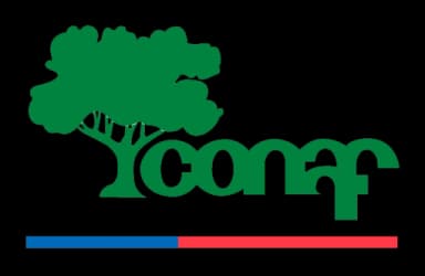 Cliente 2 - Fundación Educativa